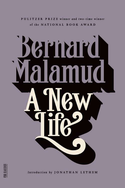 Book cover of A New Life