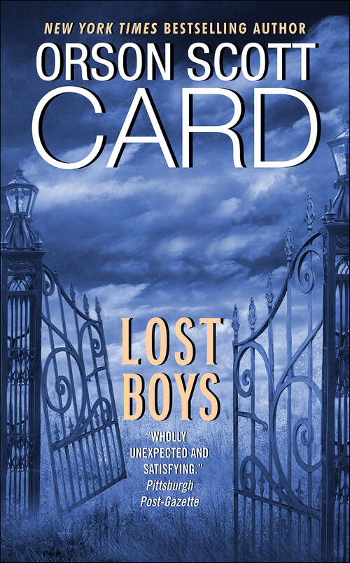 Book cover of Lost Boys