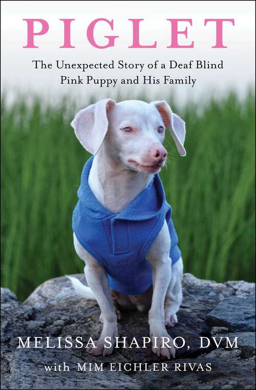 Book cover of Piglet: The Unexpected Story of a Deaf, Blind, Pink Puppy and His Family