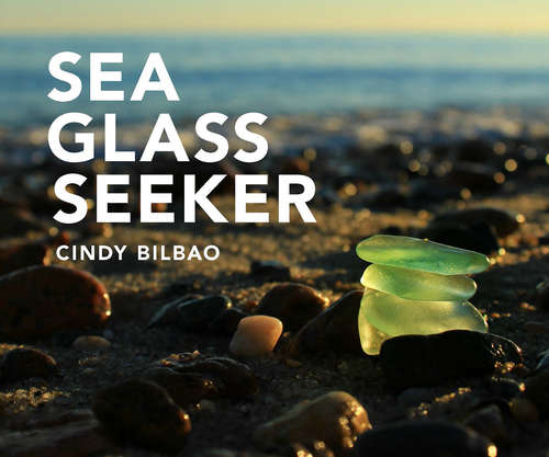 Book cover of Sea Glass Seeker (Revised and Updated): 6 Pack