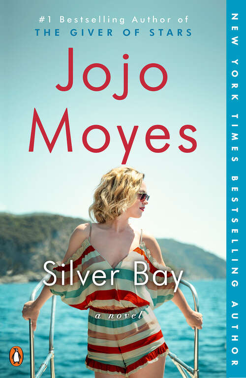 Book cover of Silver Bay