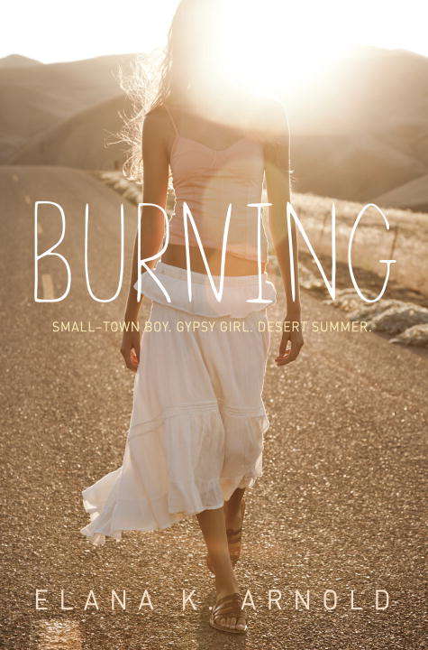 Book cover of Burning