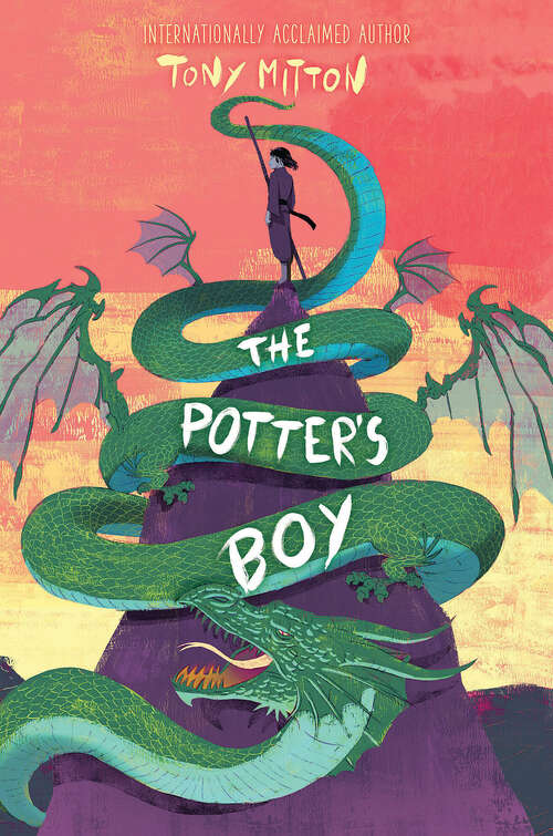 Book cover of The Potter's Boy
