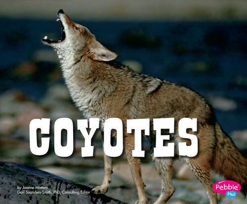Book cover of Coyotes (North American Animals Ser.)