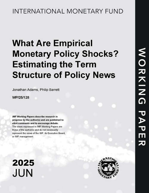 Book cover of What Are Empirical Monetary Policy Shocks? Estimating the Term Structure of Policy News