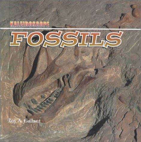 Fossils (Kaleidoscope)