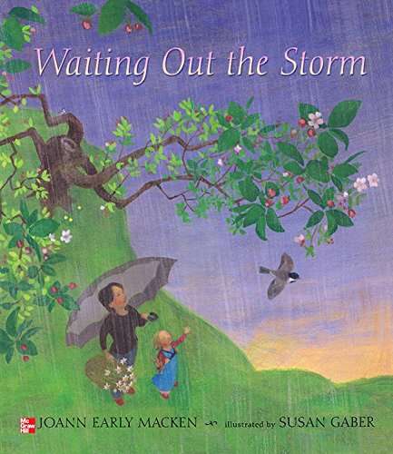 Book cover of Waiting Out the Storm (Elementary Core Reading)