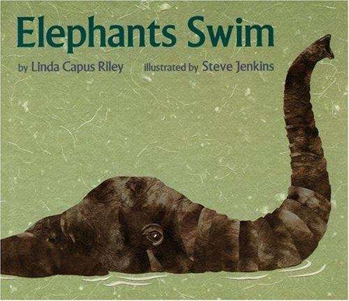 Book cover of Elephants Swim