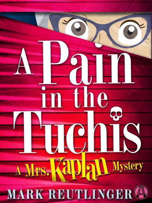 Book cover of A Pain in the Tuchis