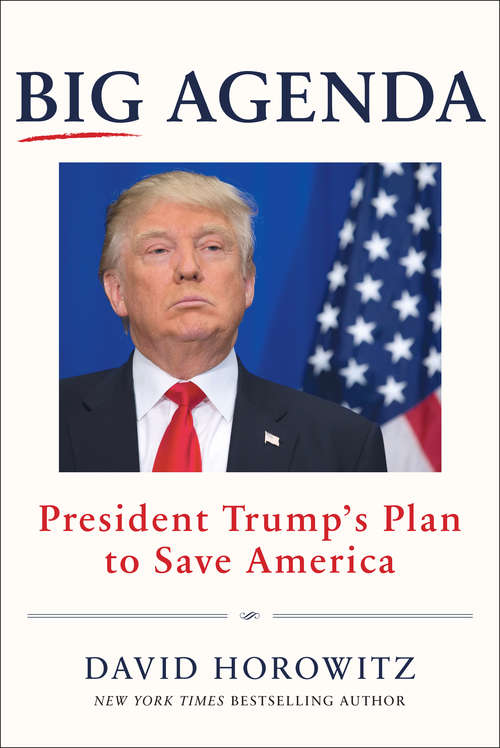 Book cover of Big Agenda: President Trump's Plan to Save America