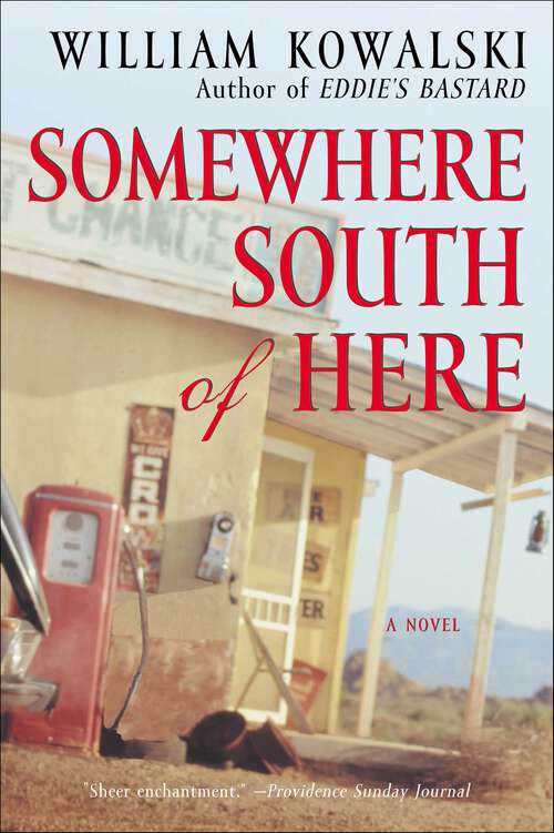Book cover of Somewhere South of Here: A Novel