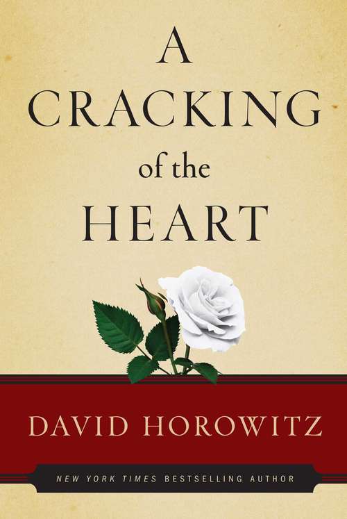 Book cover of A Cracking of the Heart