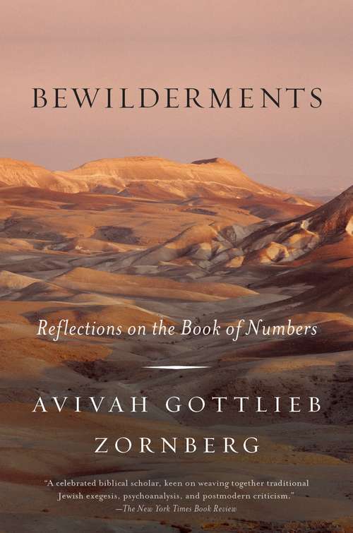 Book cover of Bewilderments
