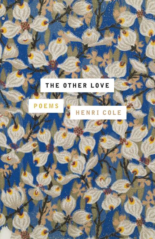 Book cover of The Other Love: Poems