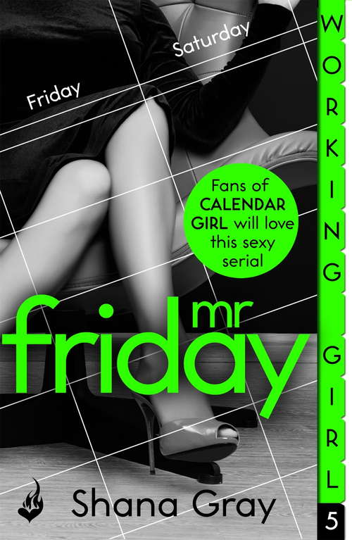 Book cover of Working Girl: Mr Friday