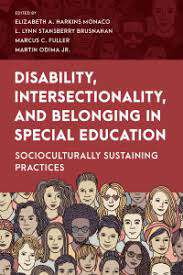 Book cover of Disability, Intersectionality, and Belonging in Special Education