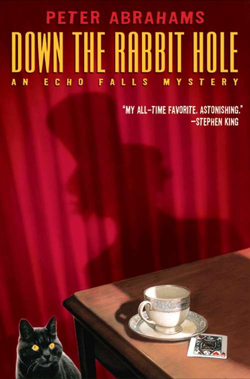 Book cover of Down the Rabbit Hole: an Echo Falls Mystery