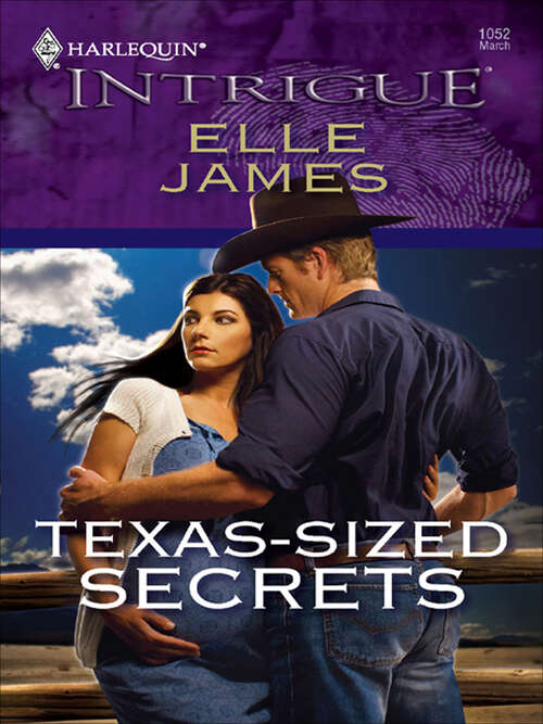 Book cover of Texas-Sized Secrets
