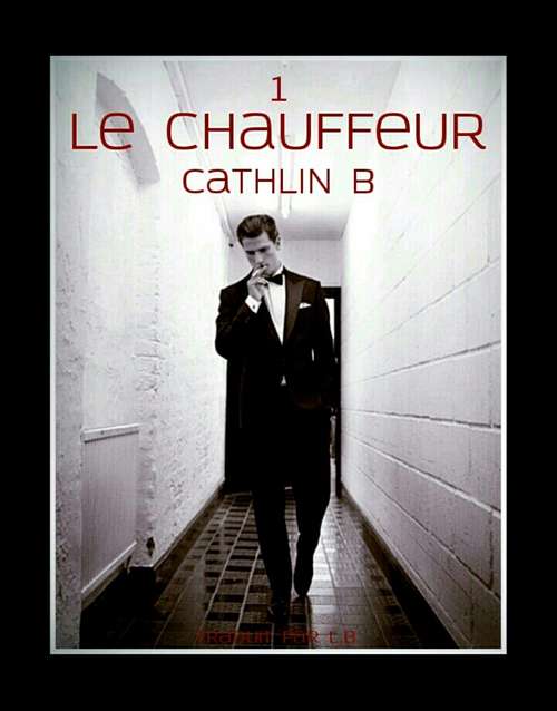 Book cover of LE CHAUFFEUR