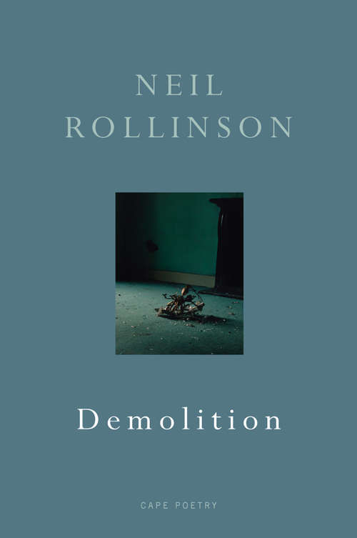 Book cover of Demolition