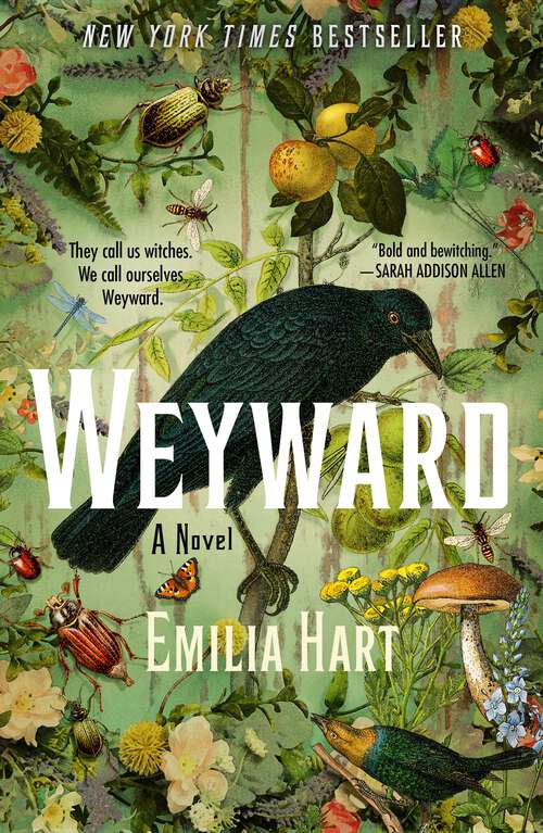 Book cover of Weyward: A Novel