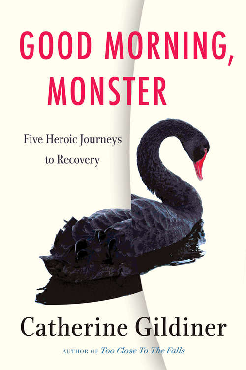 Book cover of Good Morning, Monster: Five Heroic Journeys to Recovery