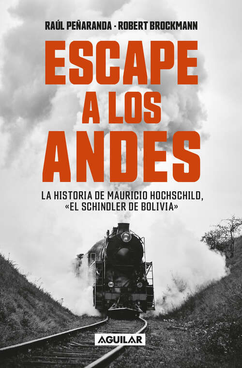Book cover of Escape a los Andes