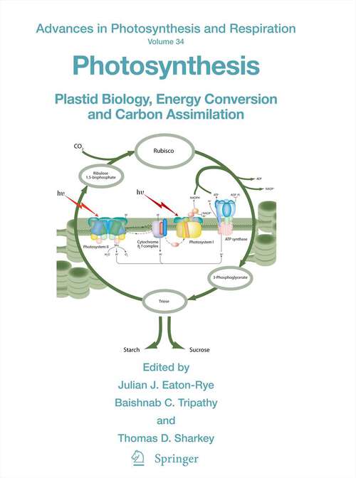 Book cover of Photosynthesis