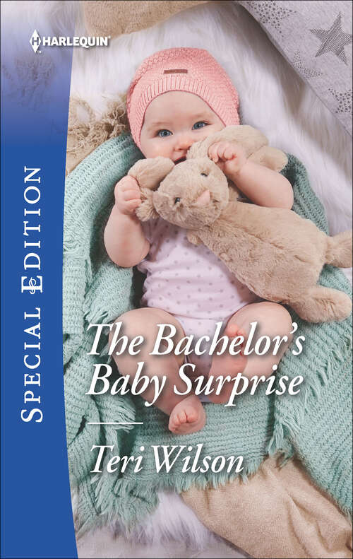 Book cover of The Bachelor's Baby Surprise (Wilde Hearts #3)