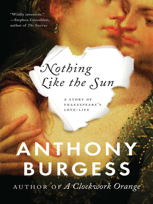Book cover of Nothing Like the Sun