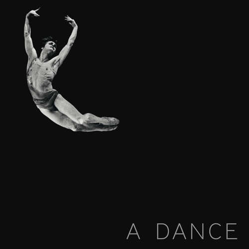 Book cover of A Dance