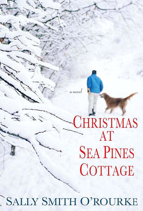 Book cover of Christmas at Sea Pines Cottage