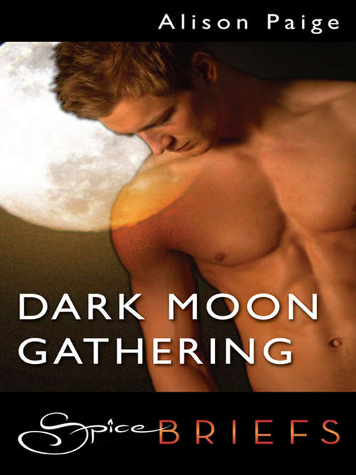 Book cover of Dark Moon Gathering