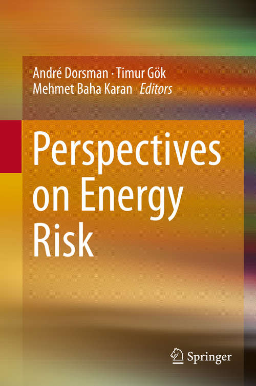 Book cover of Perspectives on Energy Risk