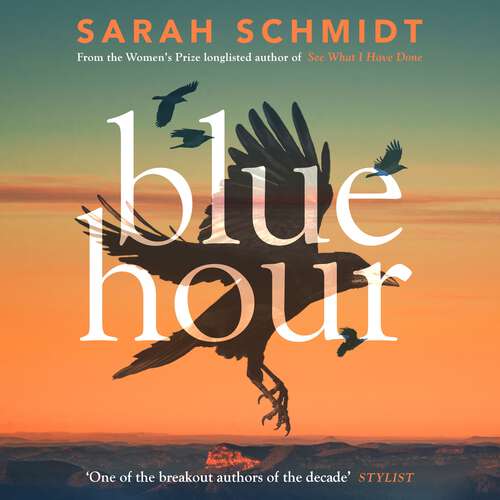 Book cover of Blue Hour