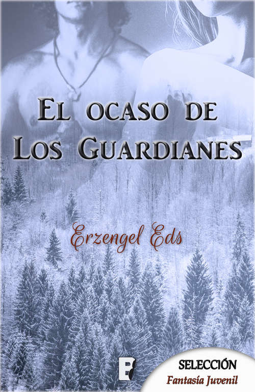 Book cover of El ocaso de los guardianes. Libro 1