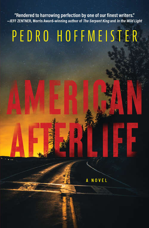 Book cover of American Afterlife: A Novel