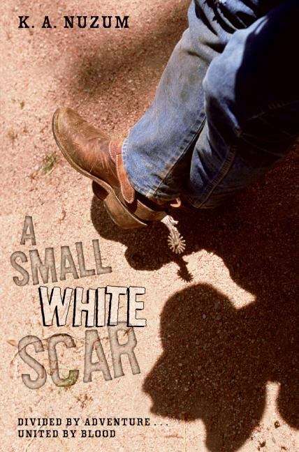 Book cover of A Small White Scar