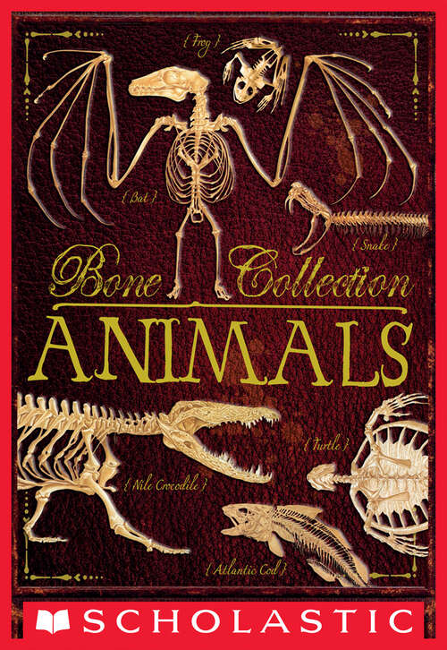 Book cover of Bone Collection: Animals (Bone)