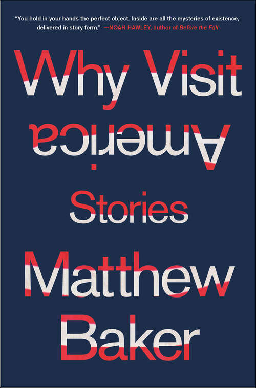 Book cover of Why Visit America: Stories