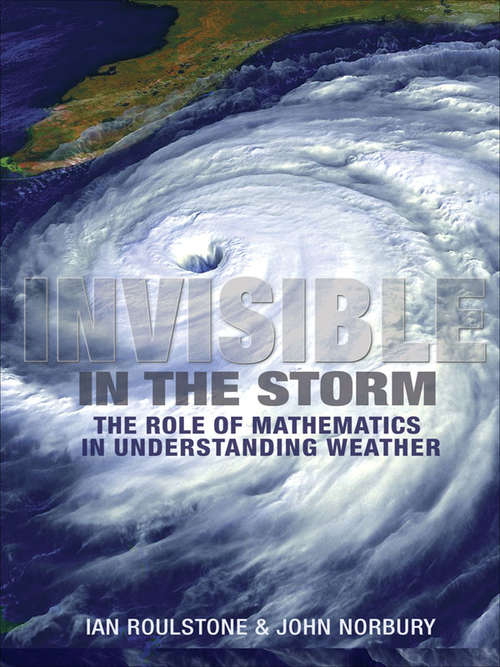 Book cover of Invisible in the Storm