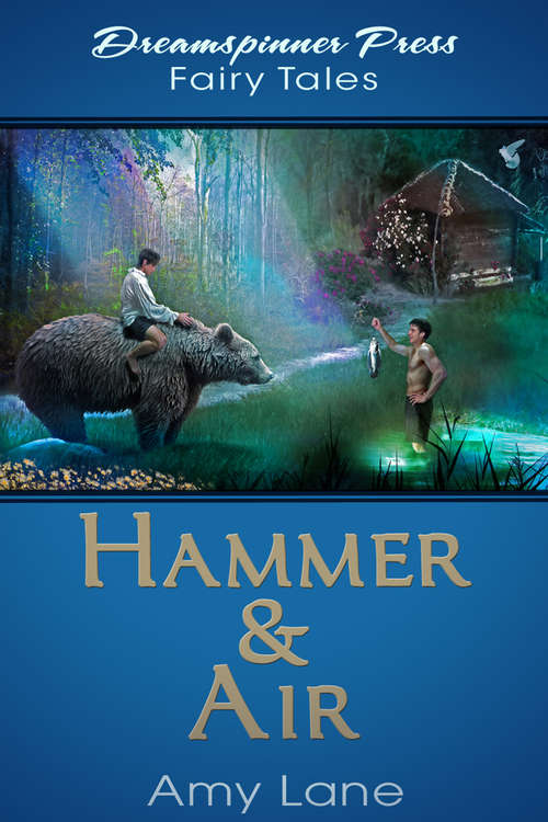 Book cover of Hammer & Air