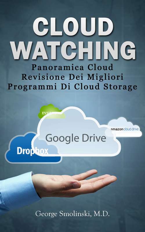 Book cover of Panoramica Cloud