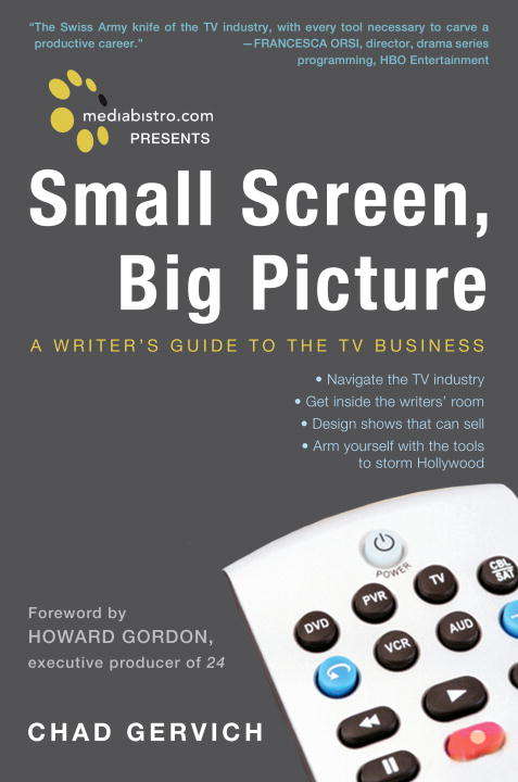 Book cover of Small Screen, Big Picture: A Writer's Guide to the TV Business