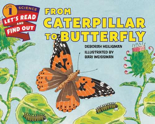 From Caterpillar To Butterfly (Let's Read And Find Out Ser.)