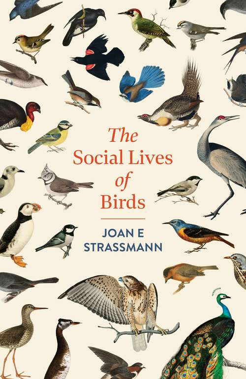 Book cover of The Social Lives of Birds