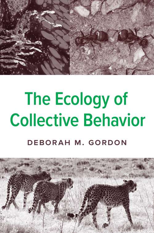 Book cover of The Ecology of Collective Behavior