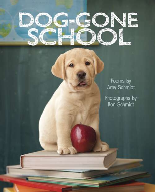 Book cover of Dog-Gone School