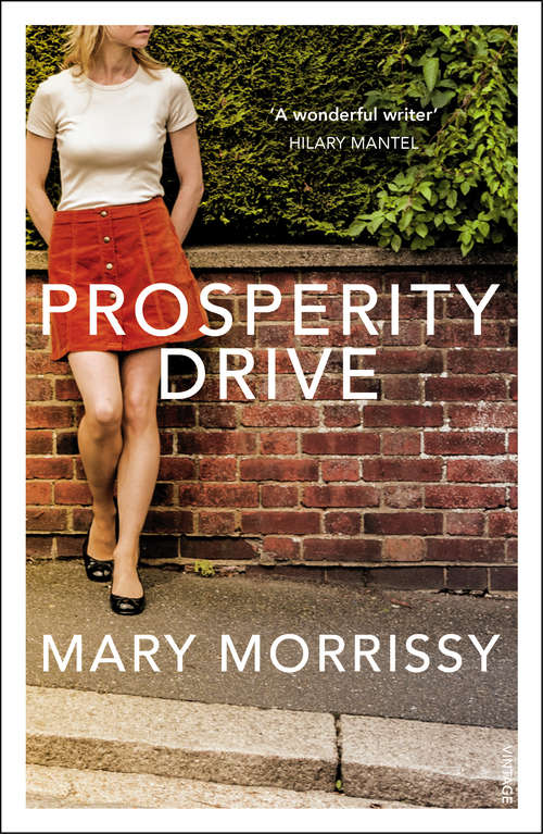 Book cover of Prosperity Drive