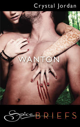 Book cover of Wanton